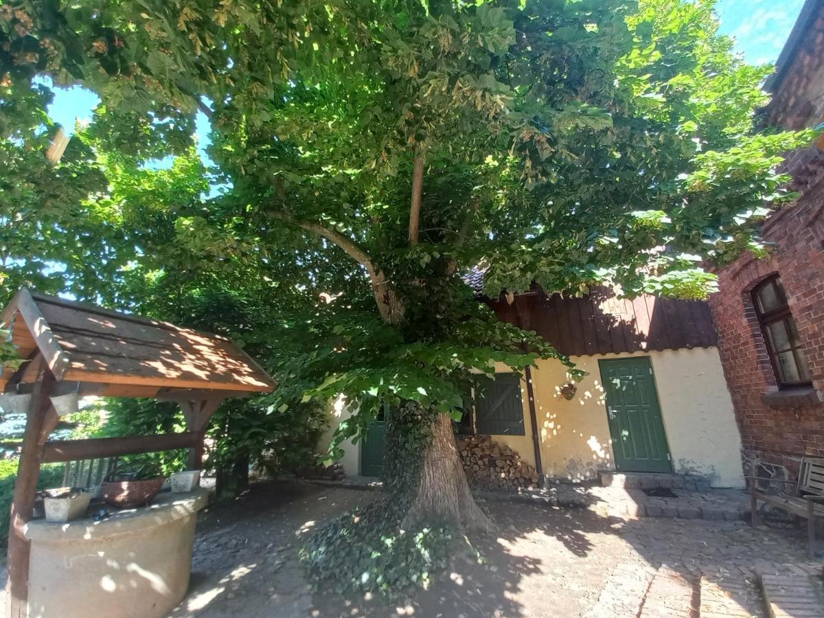 Avalon Polchowo Kamien Pomorski Ngoại thất bức ảnh